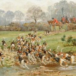 Hounds Crossing a Stream